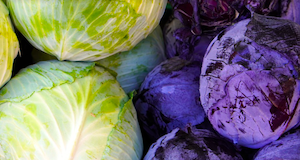 cabbage