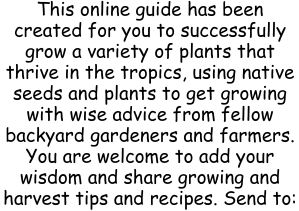 guide