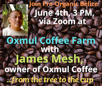 oxmul