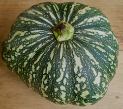 squash