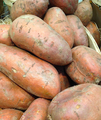 sweet potato